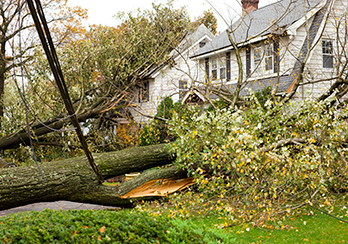 Fallen tree laying on a power line in front of a house