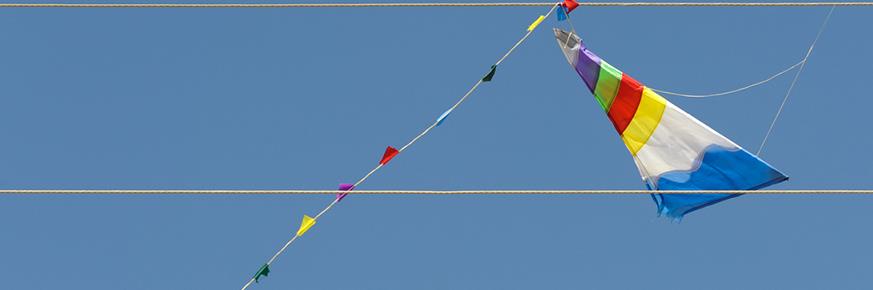 Image - A kite stuck in a power line