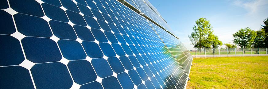 Solar panel array in a field