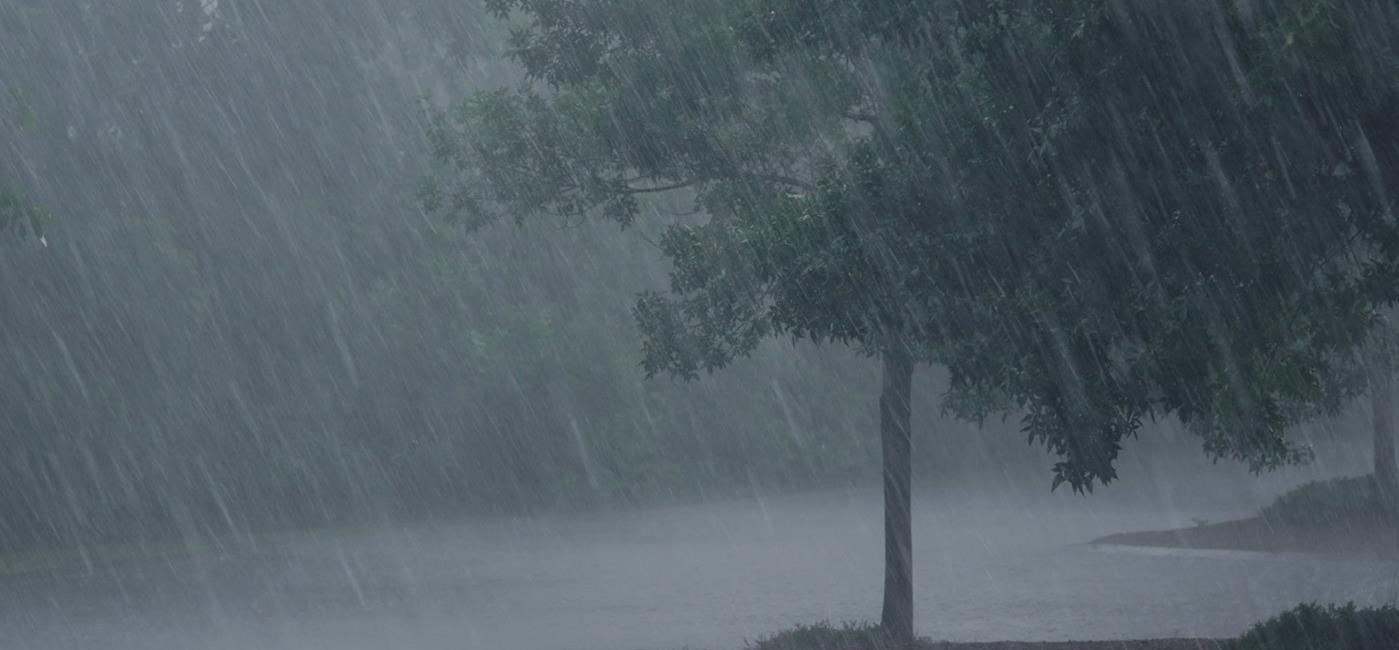 Rain on a roof