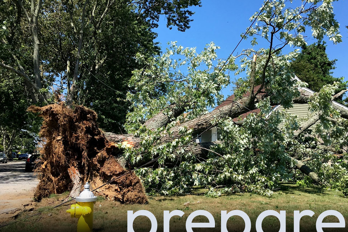 PSEGLI storm restoration