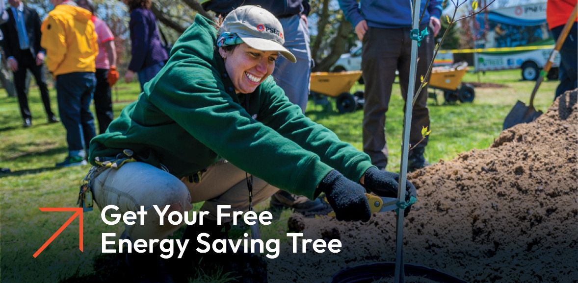 PSEG Long Island employees giving away trees