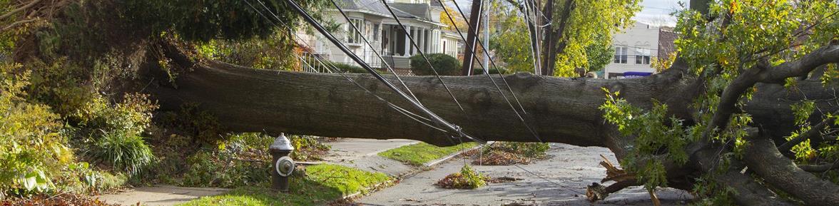 Long Island storm damage