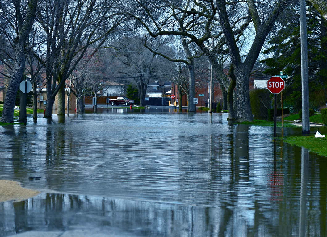 Pseg Report Street Light Outage Decoratingspecial Com