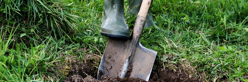 A closeup of a shovel being driven into the ground by a boot