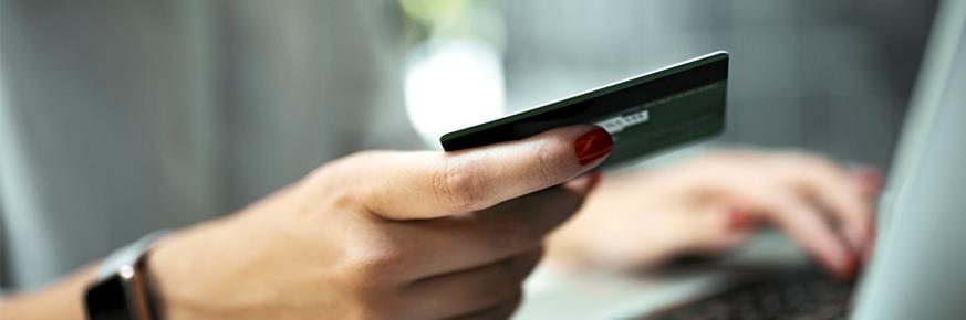 Pay Your Bill By Credit Or Debit Card Pseg Long Island