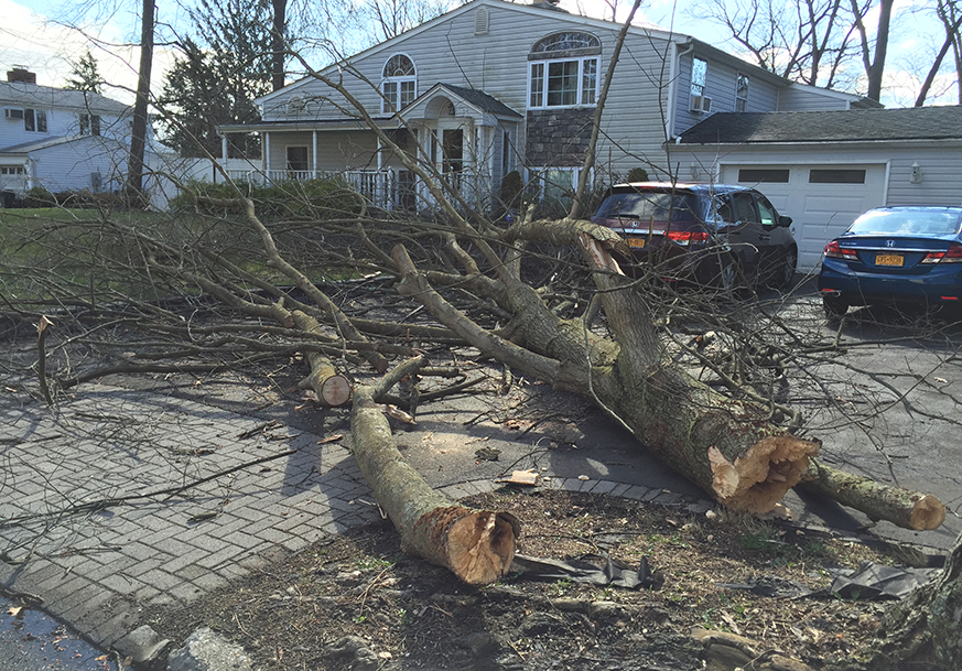 Power Restoration Process Pseg Long Island