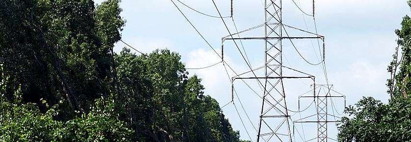 Long Island Electric Grid