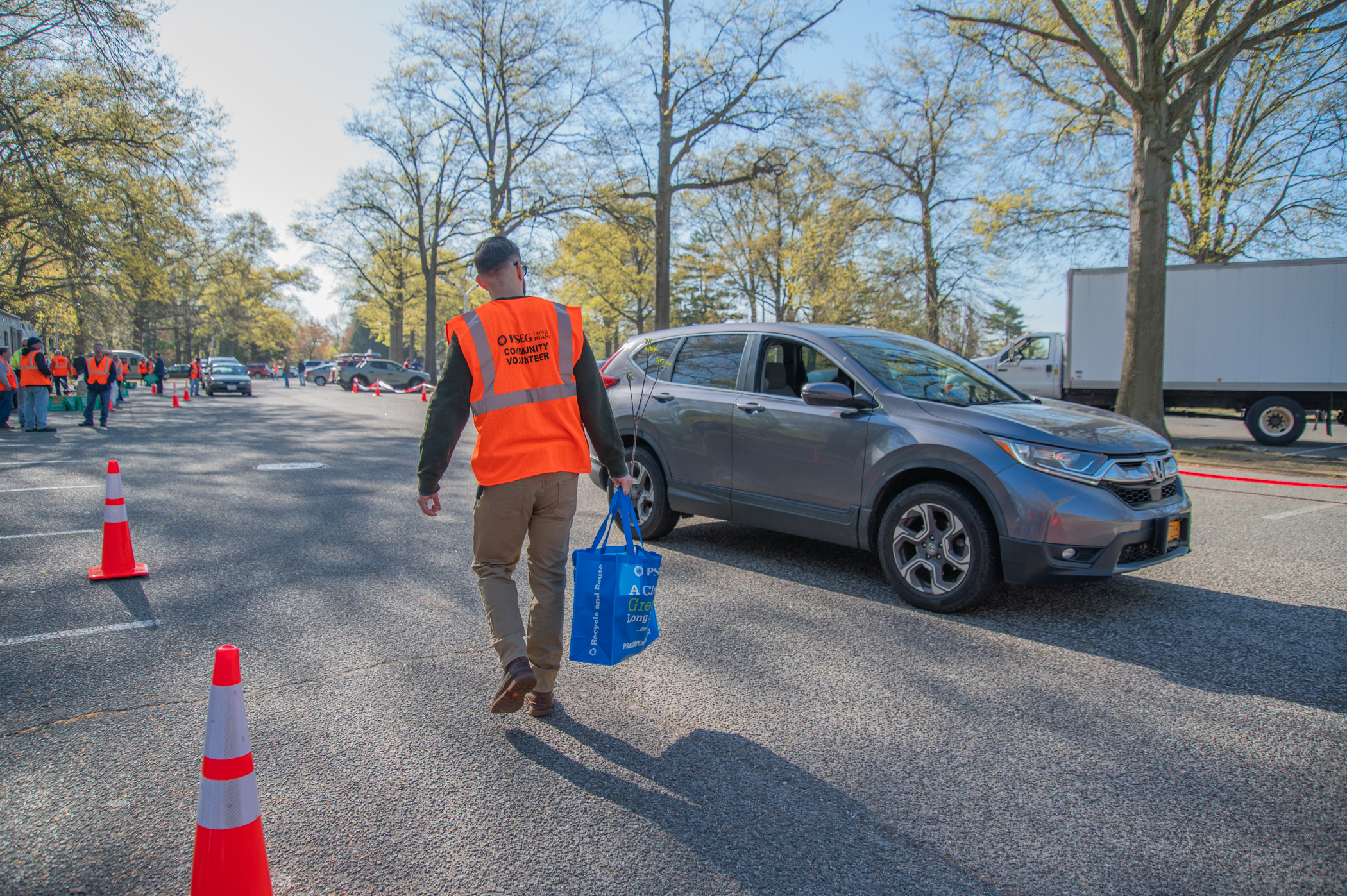 A PSEG Long Island volunteer loads a tree into a customer’s car at the 2024 Energy-Saving Trees giveaway in Nassau County.