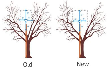 Diagram of Trimming Methods