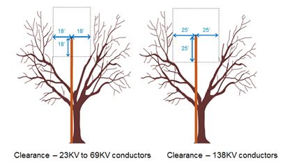 Tree diagram